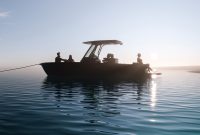 قایق برقی جدید ۲۴ فوت Arc ارزان ترین آن هنوز است